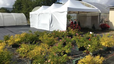 La station Astredhor basée à Angers (49) présentait ses résultats d’essais mardi 24 et mercredi 25 septembre 2019. ©Léna Hespel